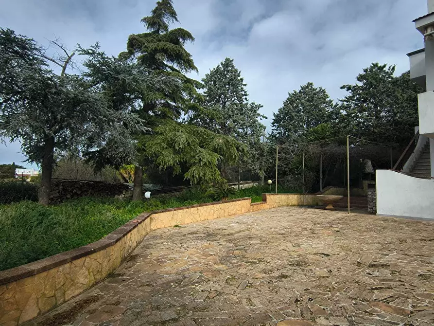 Immagine 10 di Villa in vendita  in C.da Monte Cipolla a Castellana Grotte