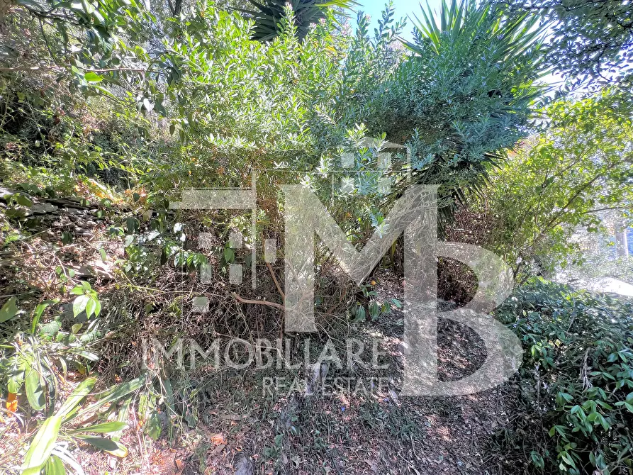 Immagine 32 di Pentalocale in vendita  in Via Privata Gilberto Govi 6 a Recco