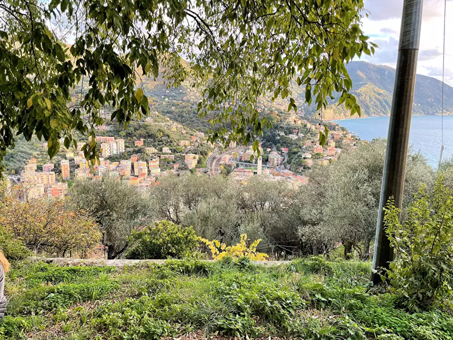 Immagine 13 di Terreno edificabile in vendita  in Via alla Pineta 2 a Recco