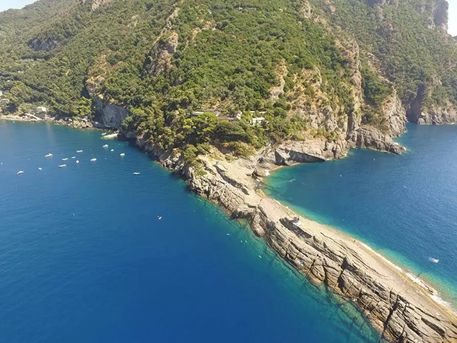 Immagine 26 di Porzione di casa in vendita  a Camogli