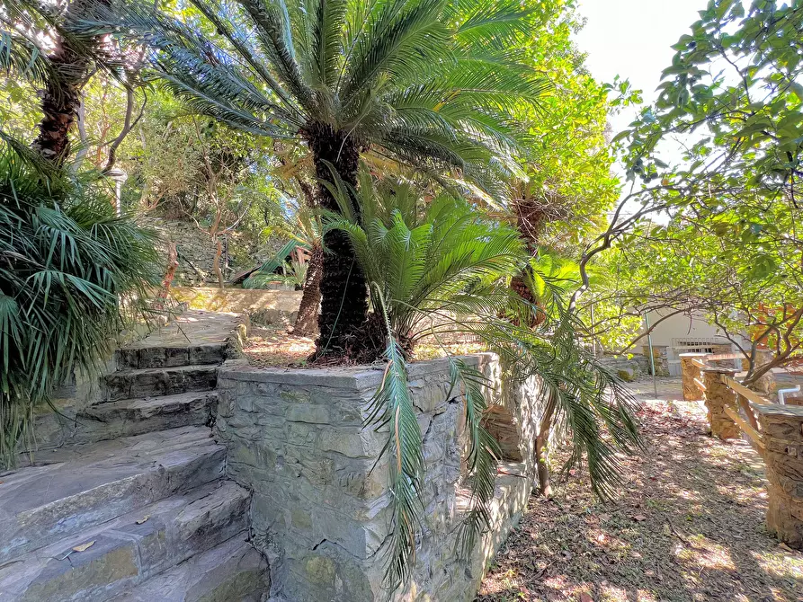 Immagine 20 di Casa indipendente in vendita  a Recco