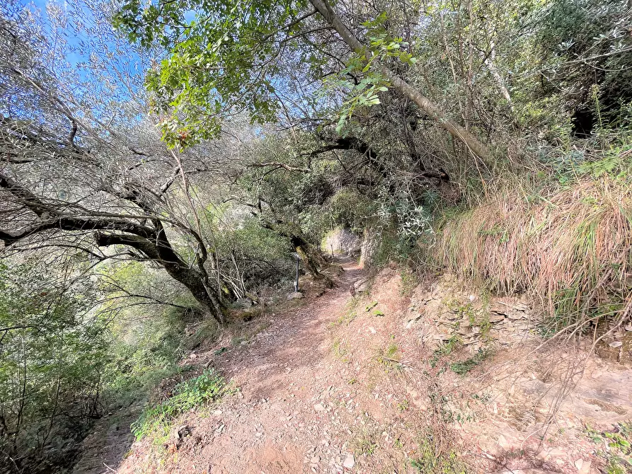 Immagine 4 di Rustico / casale in vendita  in Via Verzemma 31 a Recco