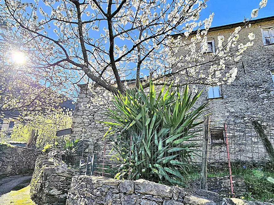 Immagine 3 di Magazzino in vendita  in Frazione Capreno a Sori