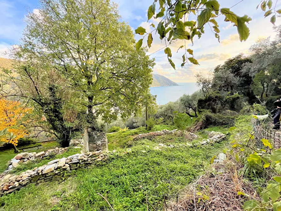 Immagine 17 di Terreno edificabile in vendita  in Via alla Pineta 2 a Recco