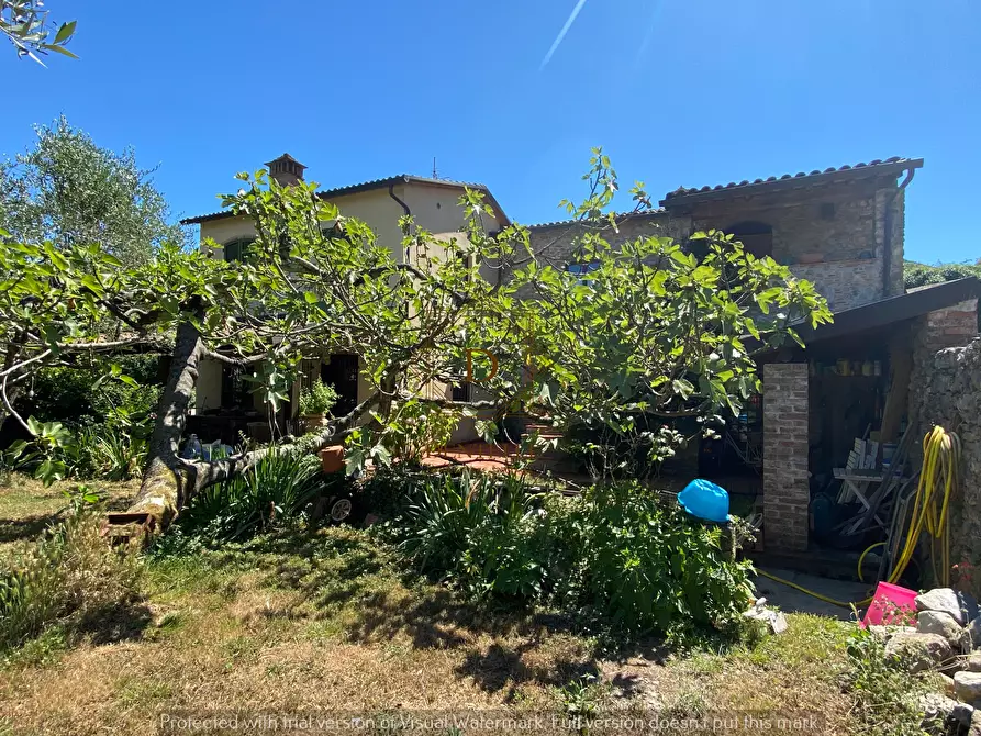 Immagine 38 di Casa bifamiliare in vendita  a Ameglia