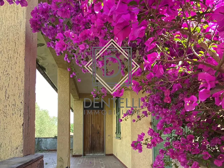 Immagine 4 di Porzione di casa in vendita  a Ameglia