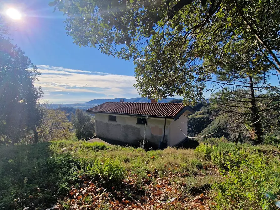 Immagine 6 di Rustico / casale in vendita  a Sarzana