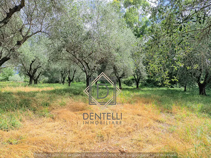 Immagine 24 di Quadrilocale in vendita  a Ameglia