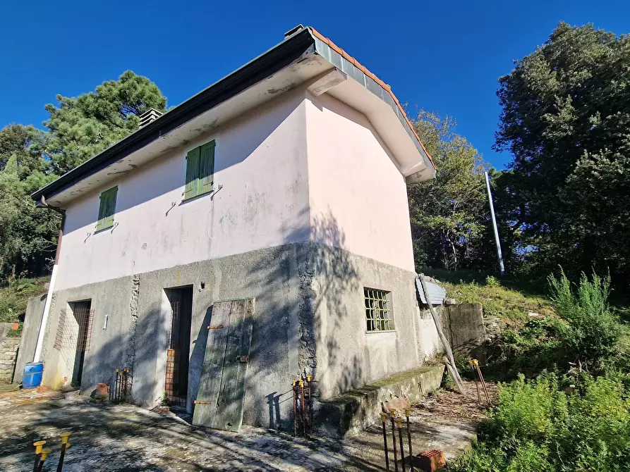 Immagine 22 di Rustico / casale in vendita  a Sarzana