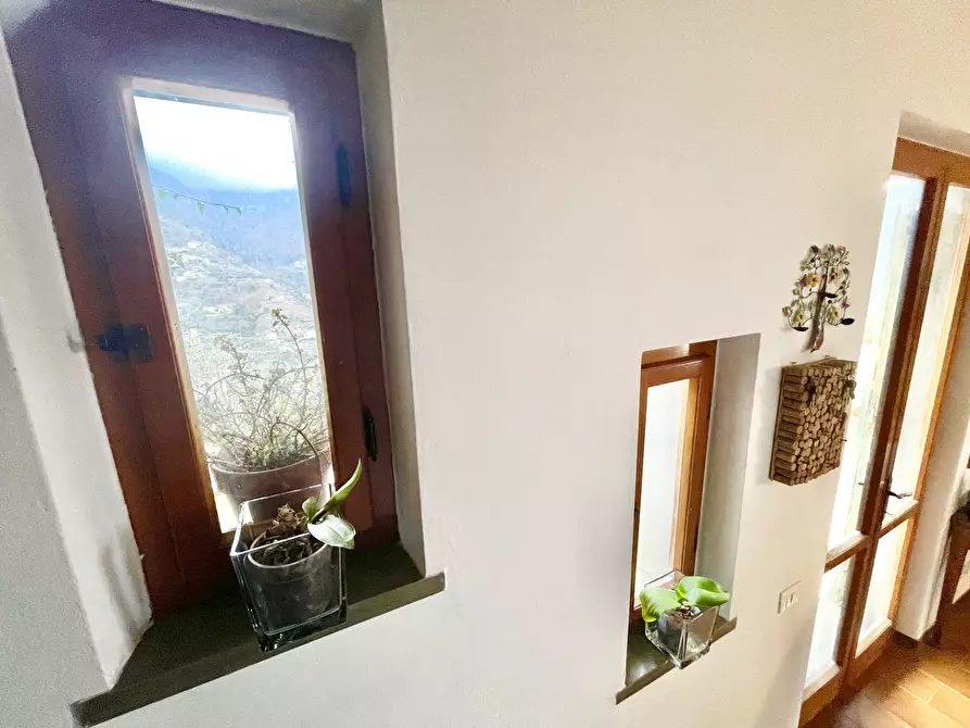 Immagine 51 di Casa indipendente in vendita  a Montignoso