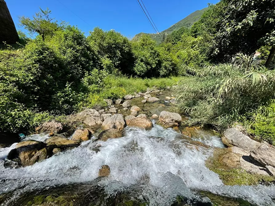Immagine 2 di Rustico / casale in vendita  a Camaiore