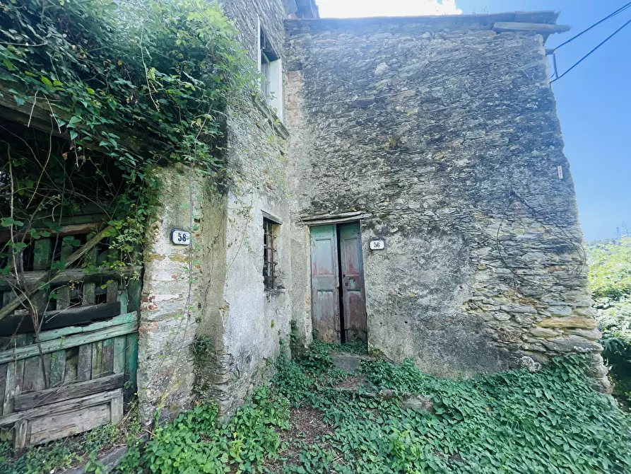 Immagine 11 di Rustico / casale in vendita  a Seravezza