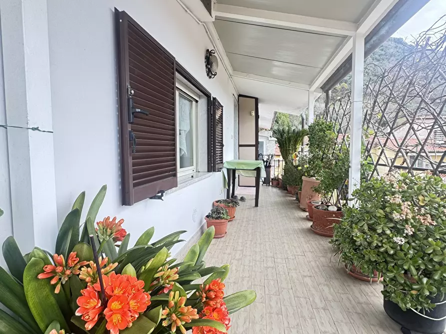 Immagine 1 di Quadrilocale in vendita  a Massa