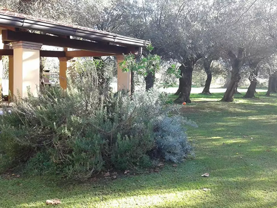 Immagine 14 di Villa in vendita  a Seravezza