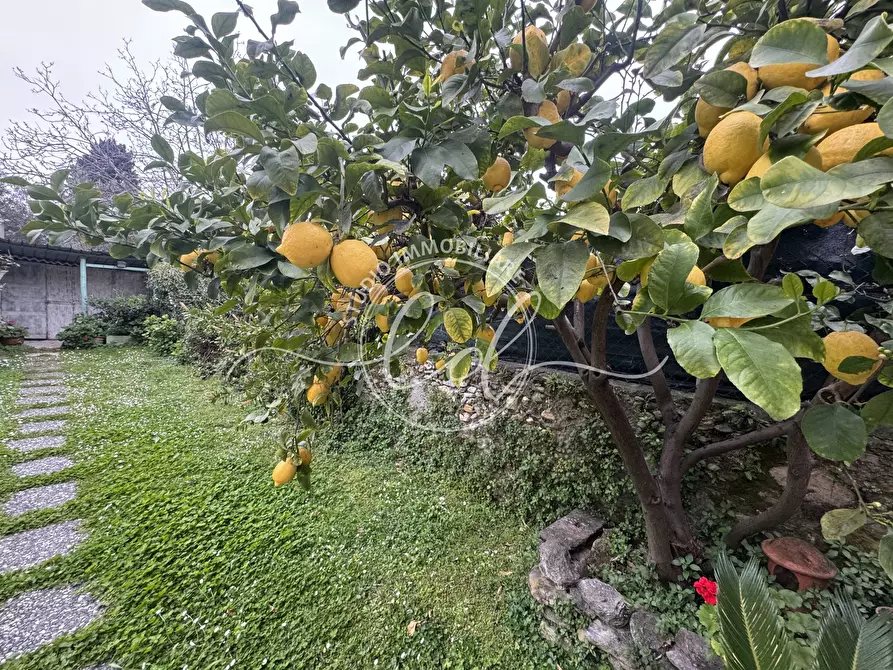 Immagine 81 di Terratetto in vendita  a Seravezza