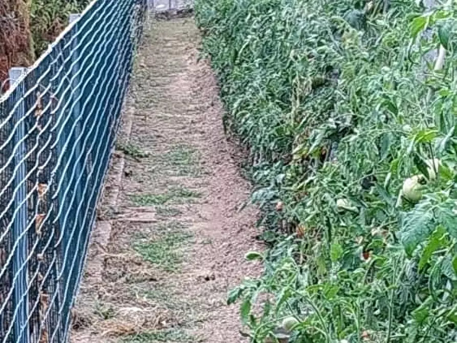 Immagine 24 di Casa indipendente in vendita  a Montignoso