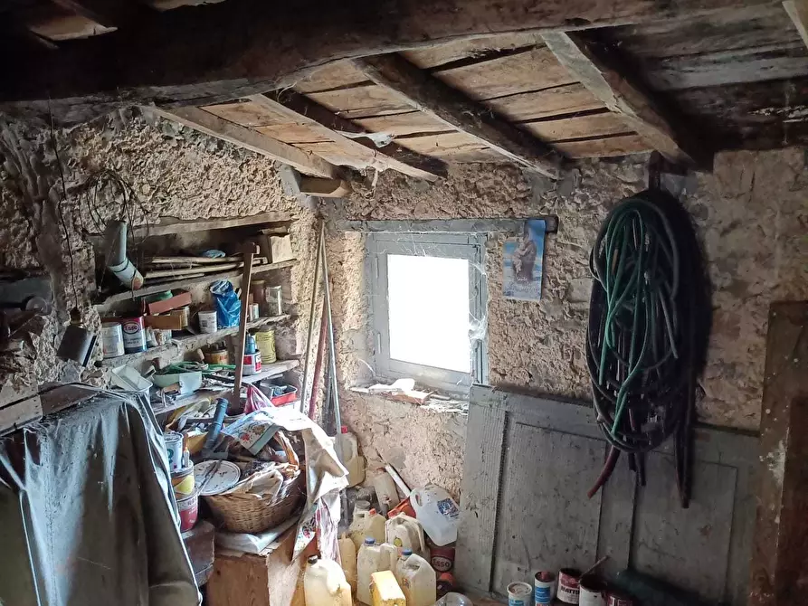 Immagine 27 di Terratetto in vendita  a Camaiore