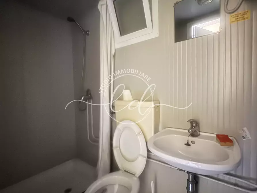 Immagine 7 di Capannone industriale in affitto  a Seravezza