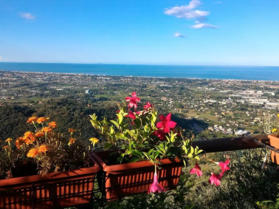 Immagine 4 di Baita in vendita  a Pietrasanta