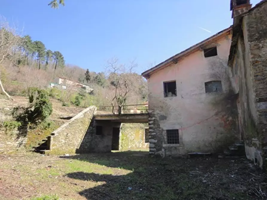 Immagine 4 di Rustico / casale in vendita  a Seravezza