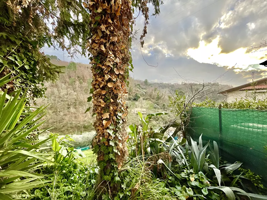 Immagine 15 di Porzione di casa in vendita  a Pietrasanta