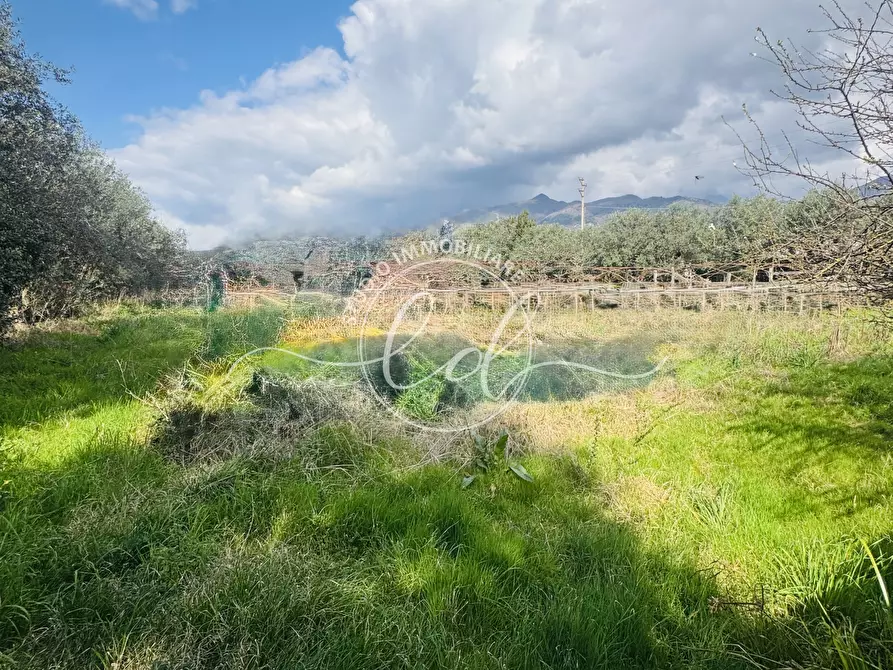 Immagine 23 di Porzione di casa in vendita  a Seravezza