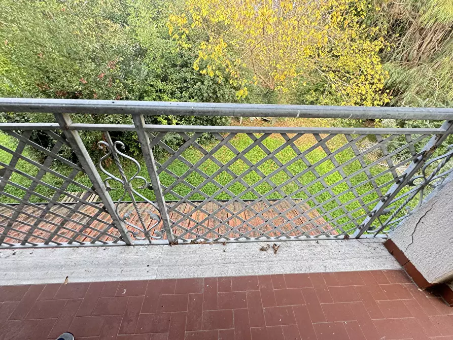 Immagine 38 di Rustico / casale in vendita  a Pietrasanta