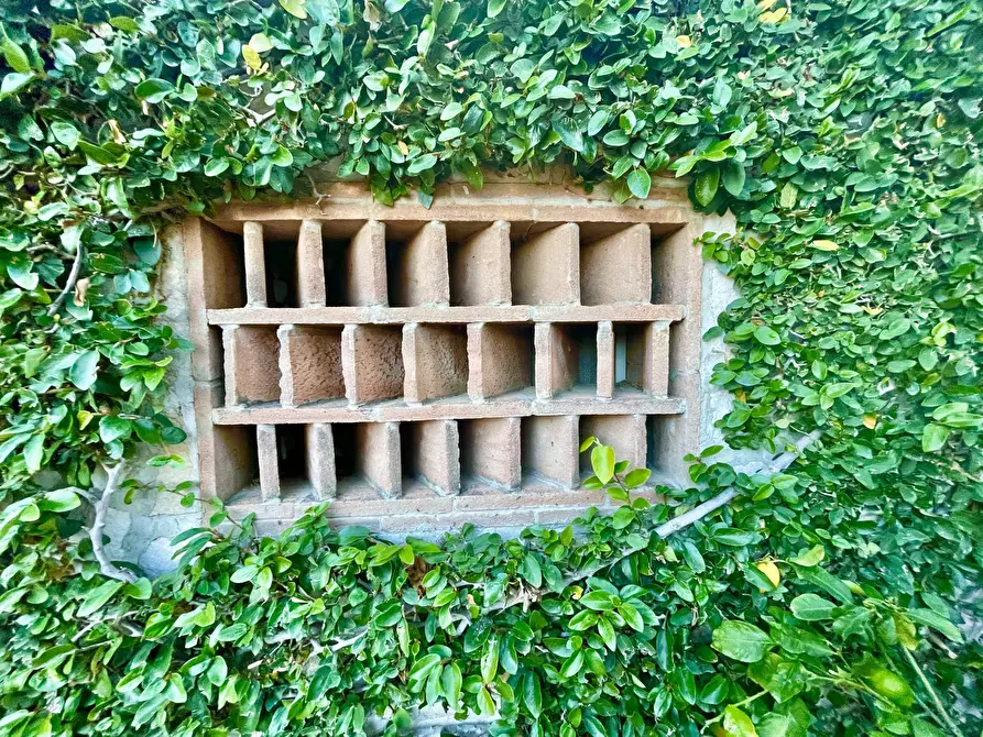 Immagine 75 di Porzione di casa in vendita  a Massarosa