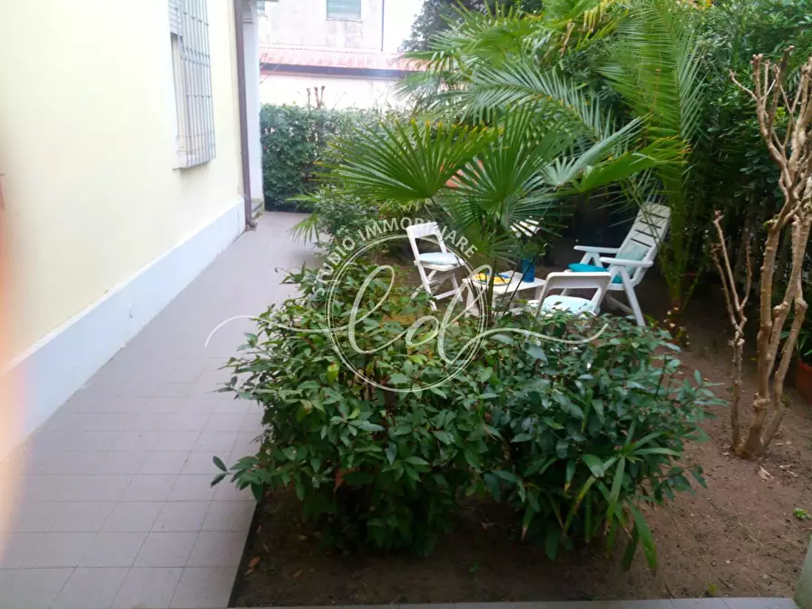 Immagine 2 di Pentalocale in affitto  a Camaiore