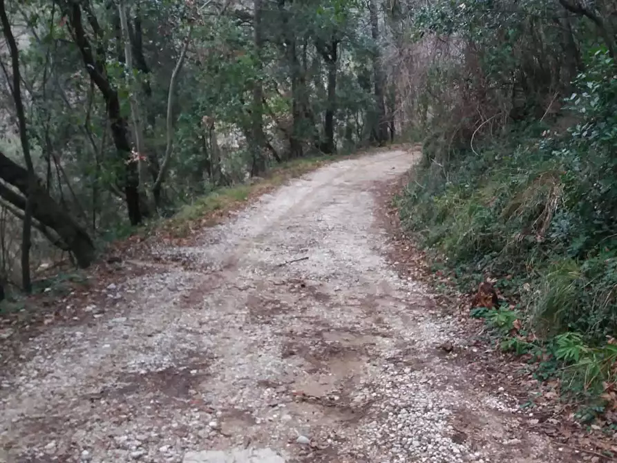 Immagine 13 di Porzione di casa in vendita  a Pietrasanta