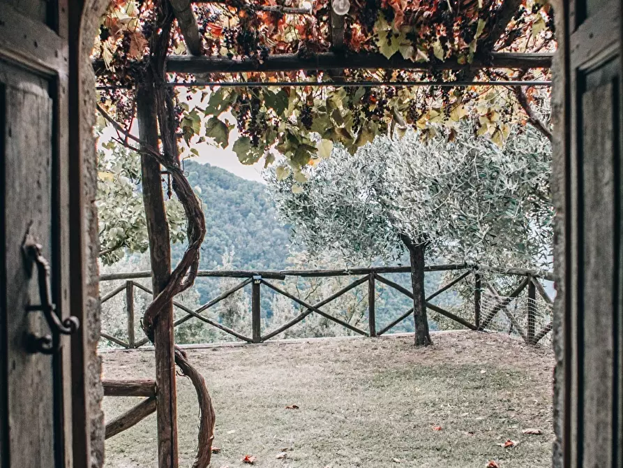 Immagine 25 di Rustico / casale in affitto  a Camaiore