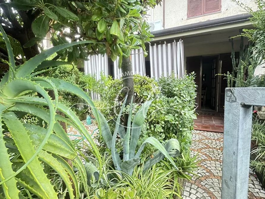 Immagine 2 di Villetta a schiera in vendita  a Seravezza