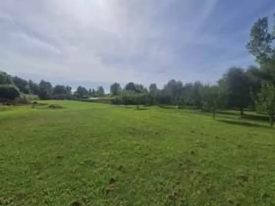 Immagine 3 di Terreno agricolo in vendita  a Seravezza