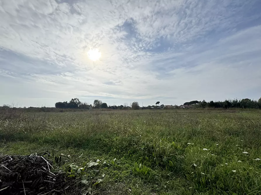 Immagine 72 di Rustico / casale in vendita  a Pietrasanta