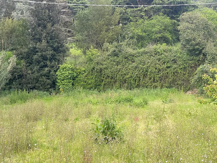 Immagine 5 di Casa indipendente in vendita  a Pietrasanta