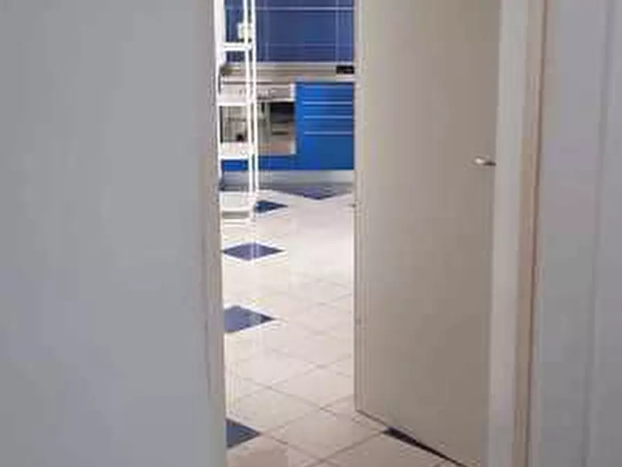 Immagine 7 di Quadrilocale in affitto  a Pietrasanta