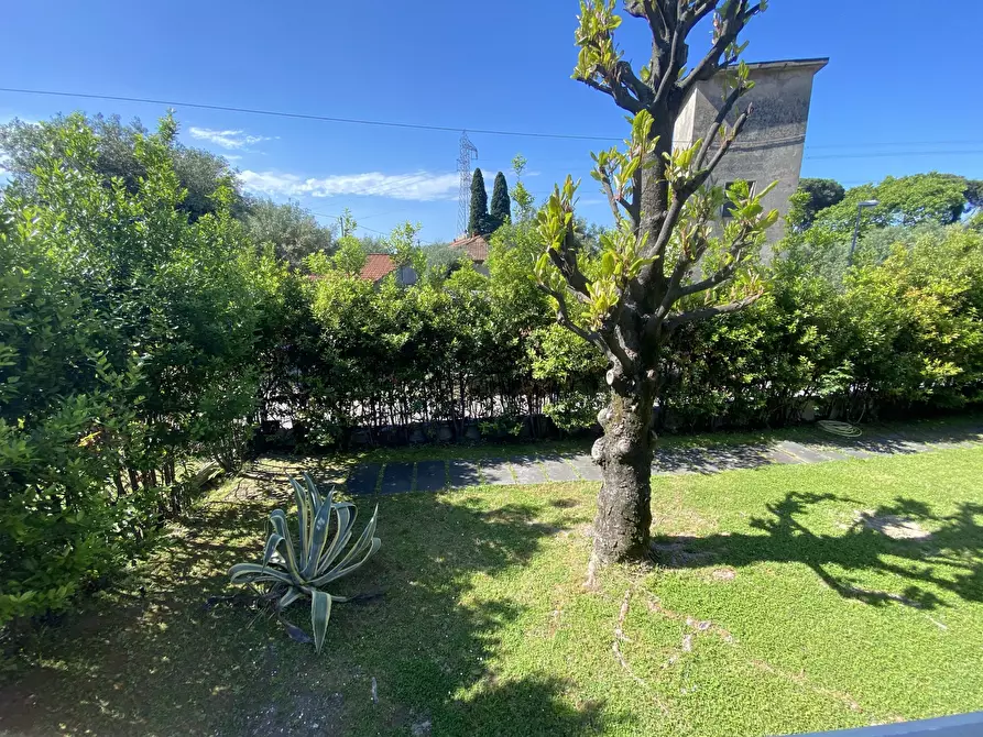 Immagine 57 di Casa indipendente in vendita  a Seravezza