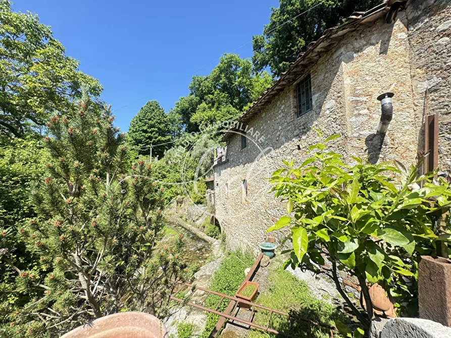 Immagine 62 di Rustico / casale in vendita  a Camaiore