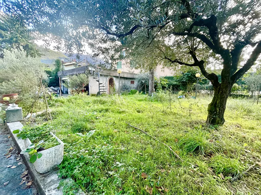 Immagine 4 di Casa indipendente in vendita  a Camaiore