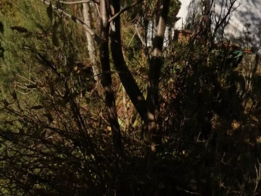 Immagine 29 di Porzione di casa in vendita  a Seravezza