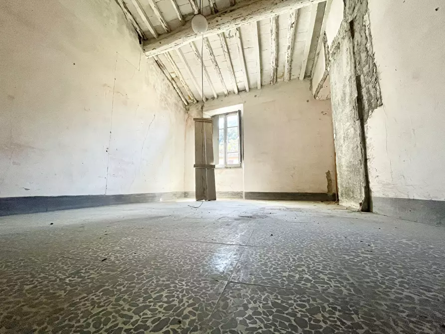 Immagine 11 di Terratetto in vendita  a Montignoso