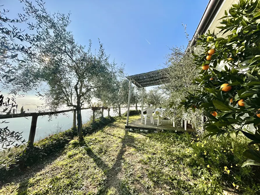 Immagine 45 di Baita in vendita  a Pietrasanta