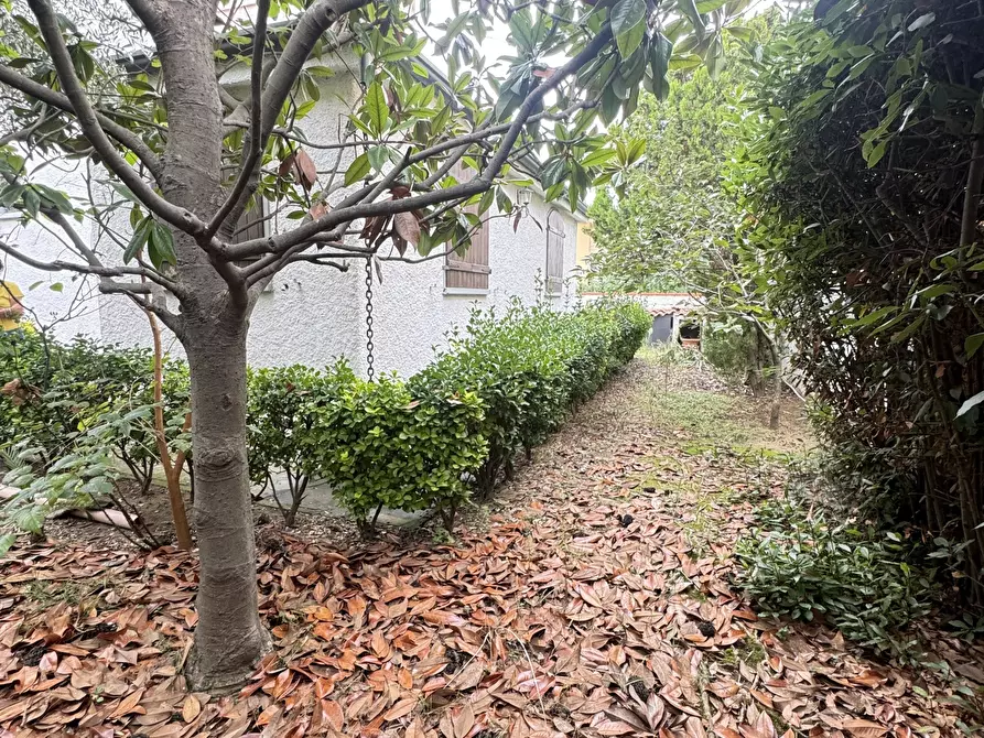 Immagine 27 di Casa indipendente in vendita  a Viareggio