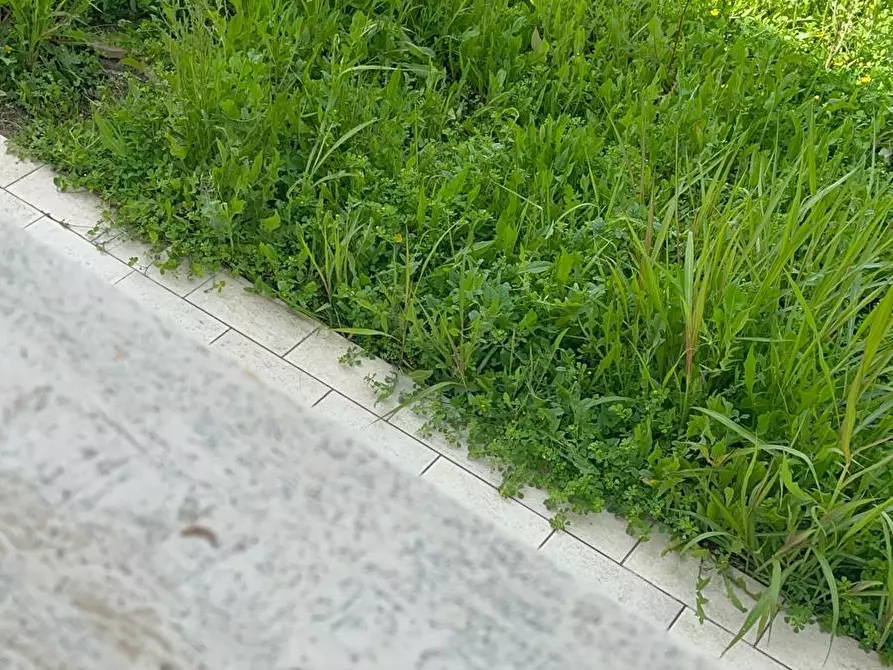 Immagine 16 di Villa in vendita  a Camaiore