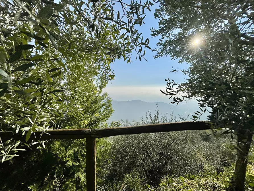 Immagine 14 di Baita in vendita  a Pietrasanta