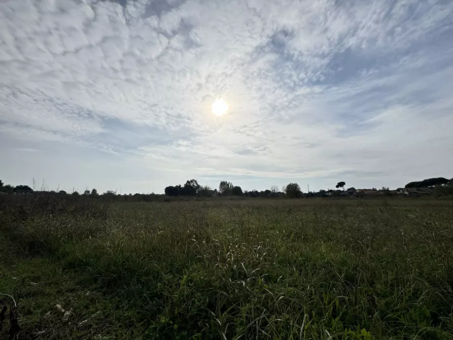 Immagine 75 di Rustico / casale in vendita  a Pietrasanta