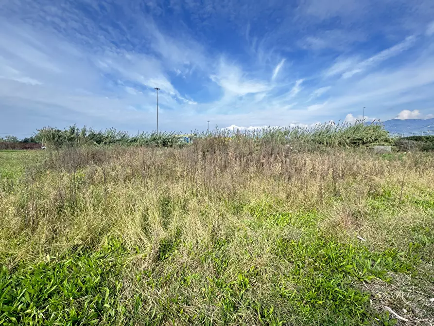 Immagine 70 di Rustico / casale in vendita  a Pietrasanta