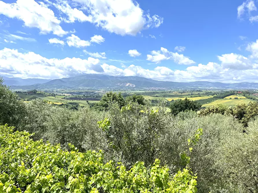 Immagine 28 di Villa in vendita  in Contrada Zancati Nuovo a Paliano
