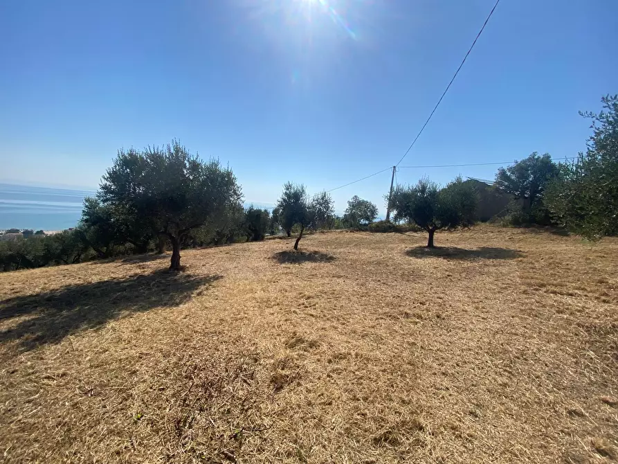 Immagine 18 di Porzione di casa in vendita  in Contrada Stagliano a Silvi