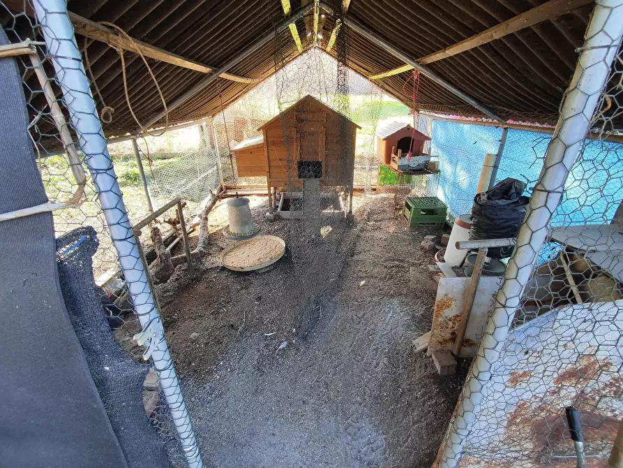 Immagine 8 di Terreno agricolo in vendita  in Via Colle di Mitriano a Guidonia Montecelio